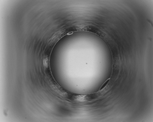X0000101190090200807071325
