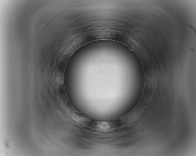 X0000101190091200807071325