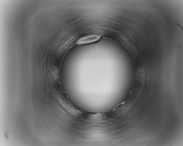 X0000101190092200807071325