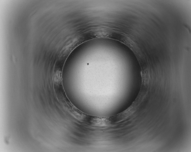 X0000101190093200807071325