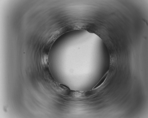 X0000101190094200807071325