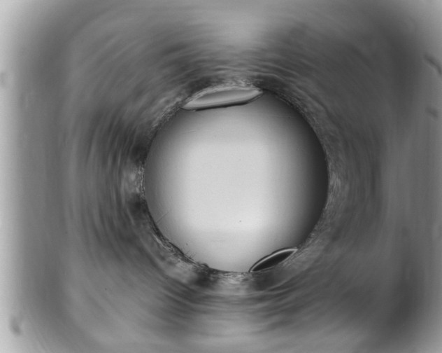 X0000101190096200807071325