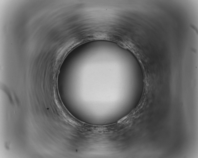 X0000101190097200807071324