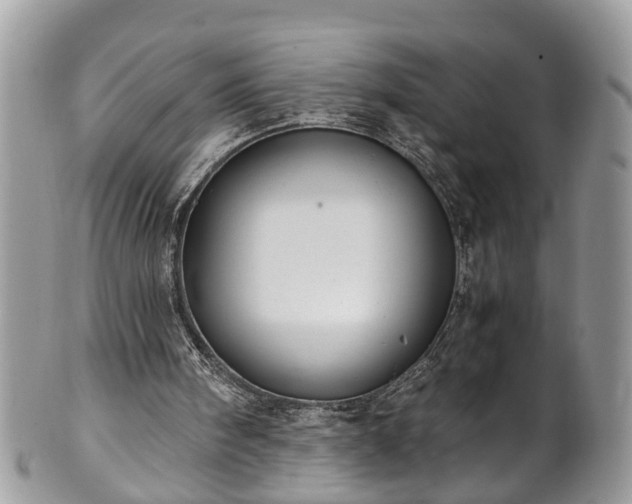 X0000101190098200807071324