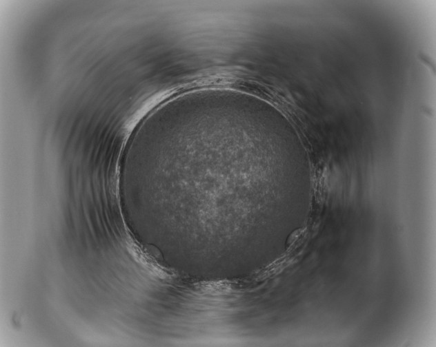 X0000101190100200807071324