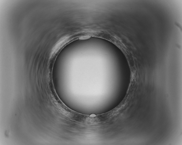 X0000101190101200807071324