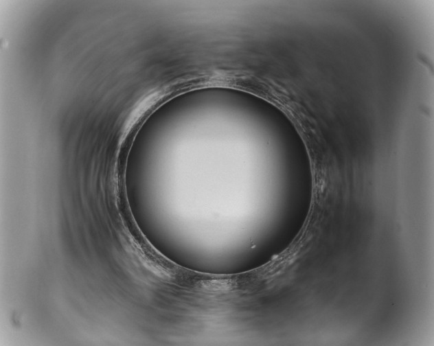 X0000101190102200807071324
