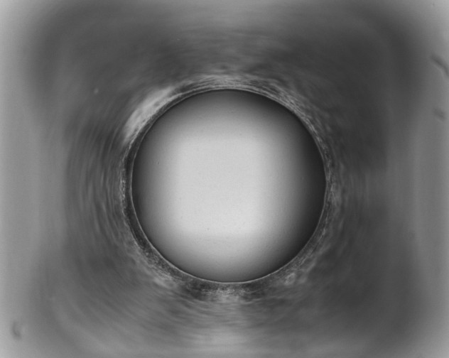 X0000101190103200807071324