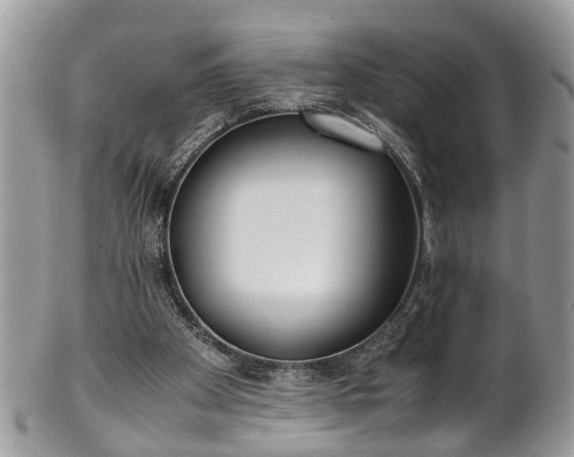 X0000101190105200807071324