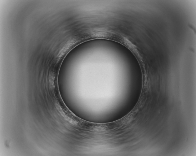 X0000101190106200807071324