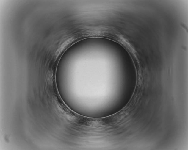 X0000101190107200807071324