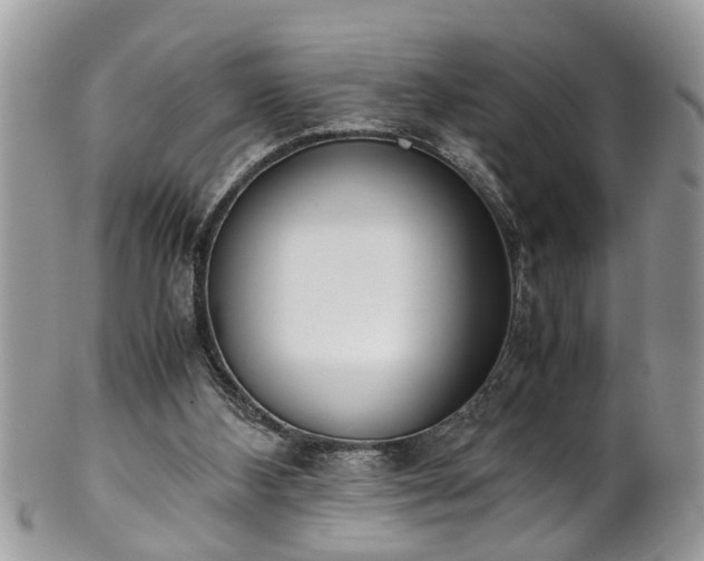 X0000101190108200807071324