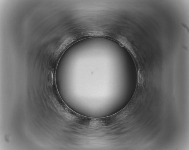 X0000101190109200807071324