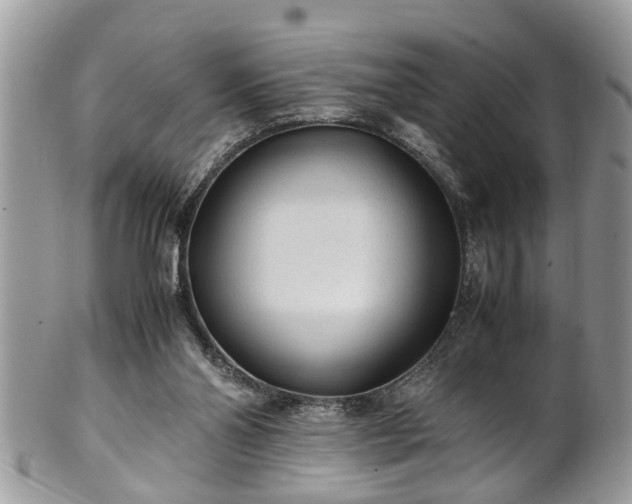 X0000101190110200807071324