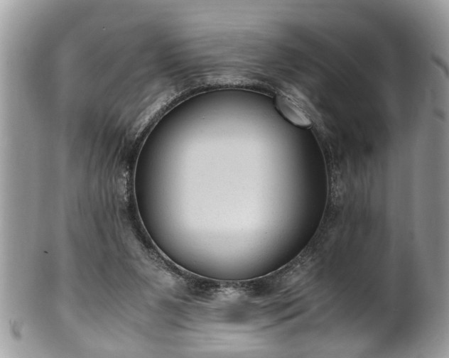 X0000101190111200807071324