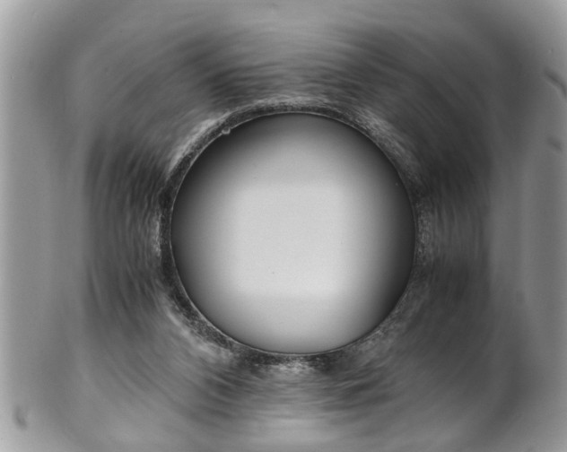 X0000101190112200807071324
