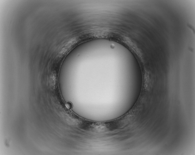 X0000101190113200807071324