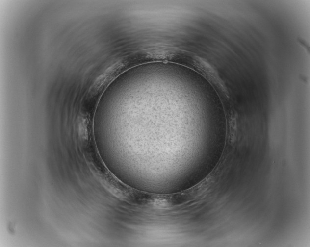 X0000101190114200807071324