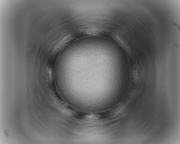 X0000101190117200807071324