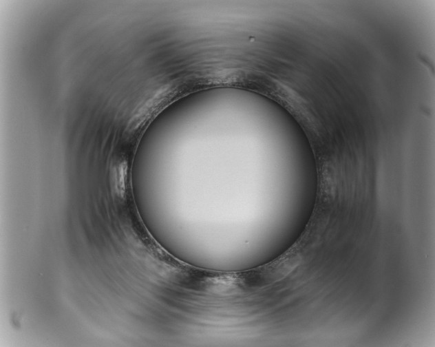 X0000101190118200807071324