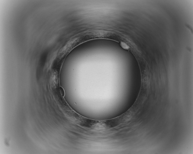 X0000101190119200807071324