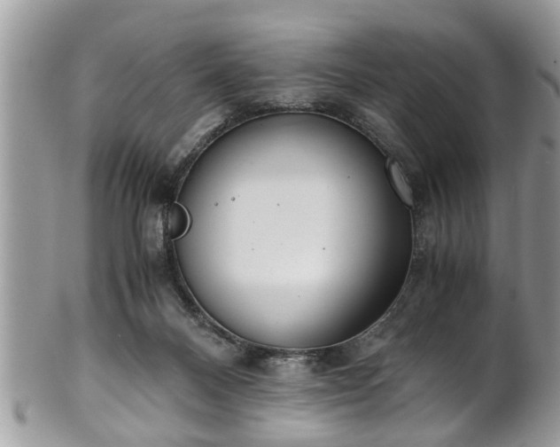 X0000101190120200807071324