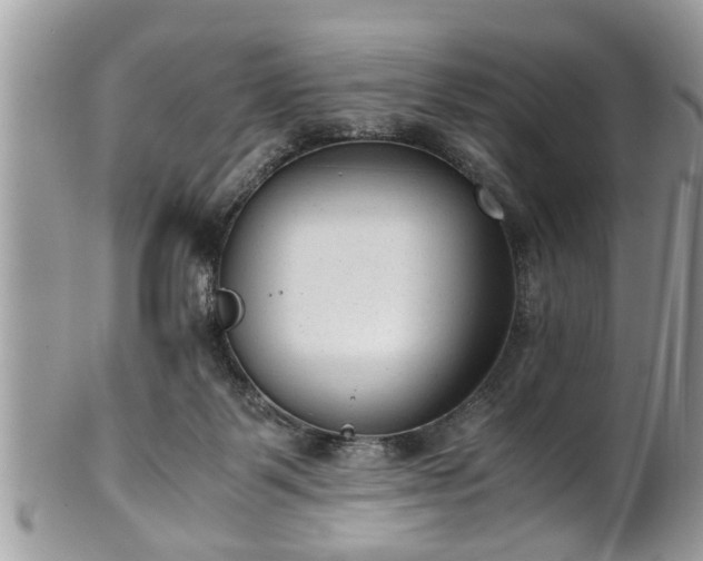 X0000101190123200807071324