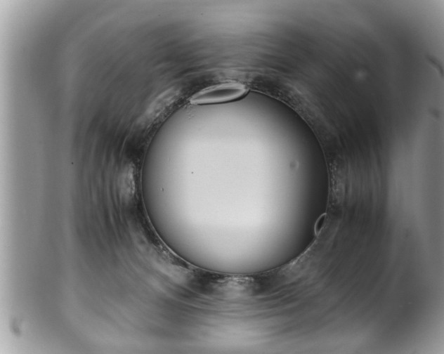 X0000101190128200807071324