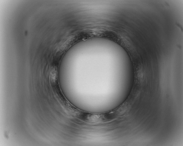 X0000101190129200807071324