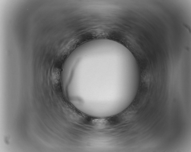 X0000101190133200807071324