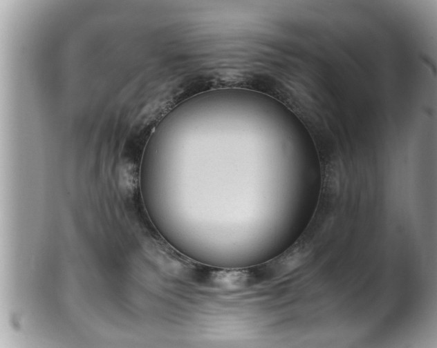 X0000101190135200807071324