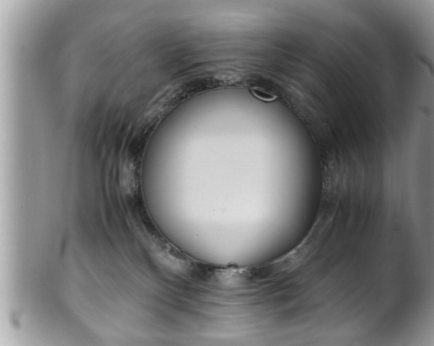 X0000101190136200807071324