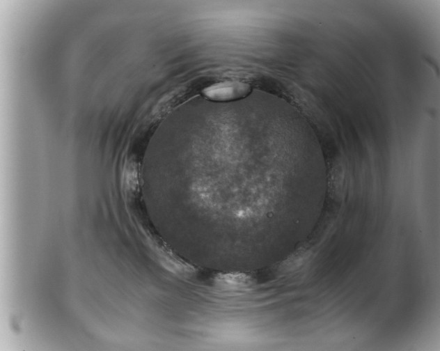 X0000101190137200807071323