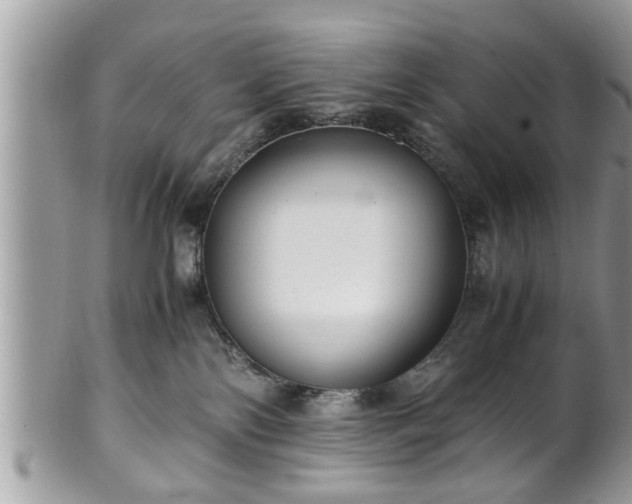 X0000101190138200807071323