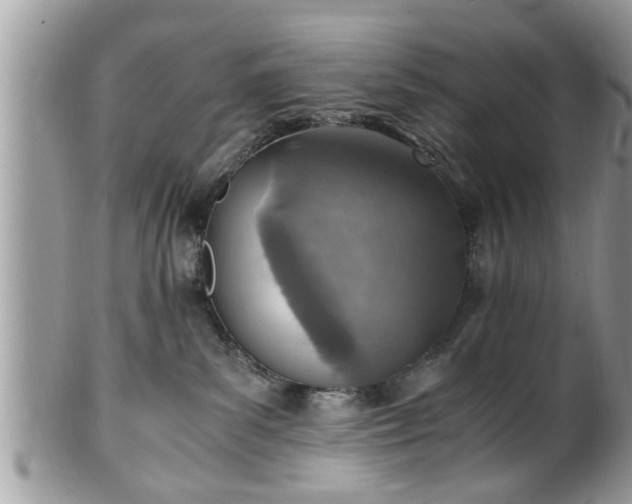 X0000101190139200807071323