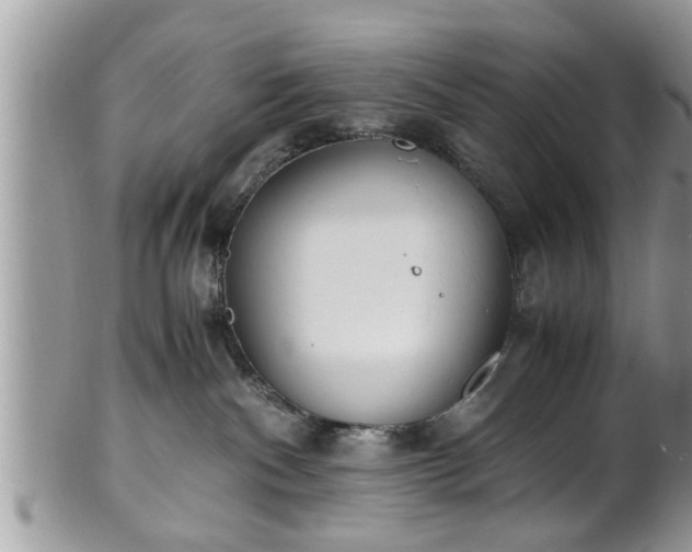 X0000101190140200807071323