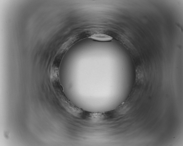X0000101190141200807071323
