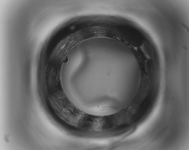 X0000101190143200807071323