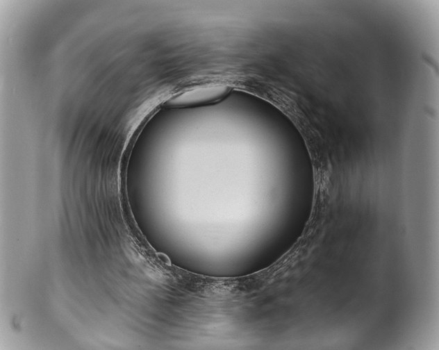 X0000101190148200807071323