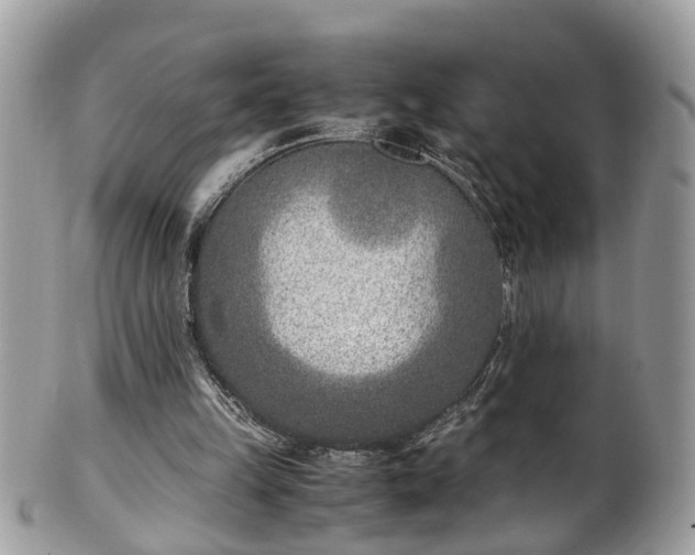 X0000101190149200807071323