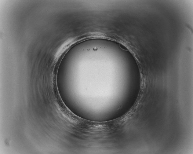 X0000101190151200807071323
