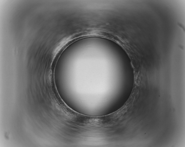 X0000101190152200807071323