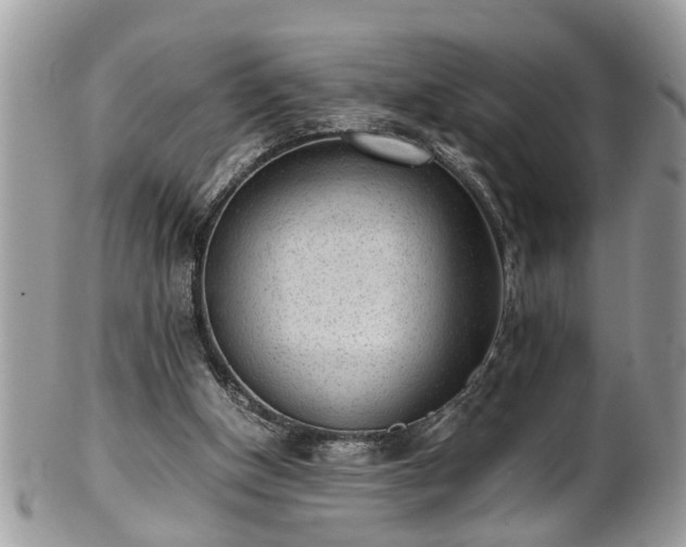 X0000101190154200807071323