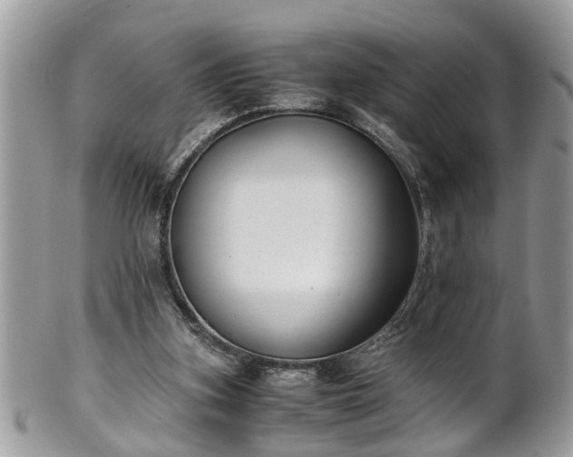 X0000101190155200807071323