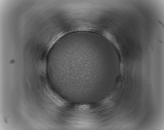 X0000101190156200807071323