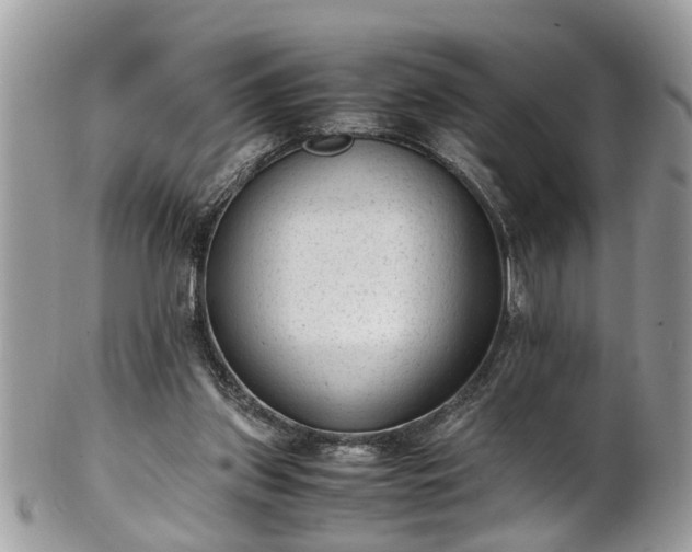 X0000101190157200807071323