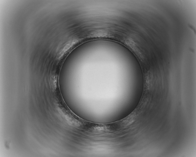 X0000101190160200807071323