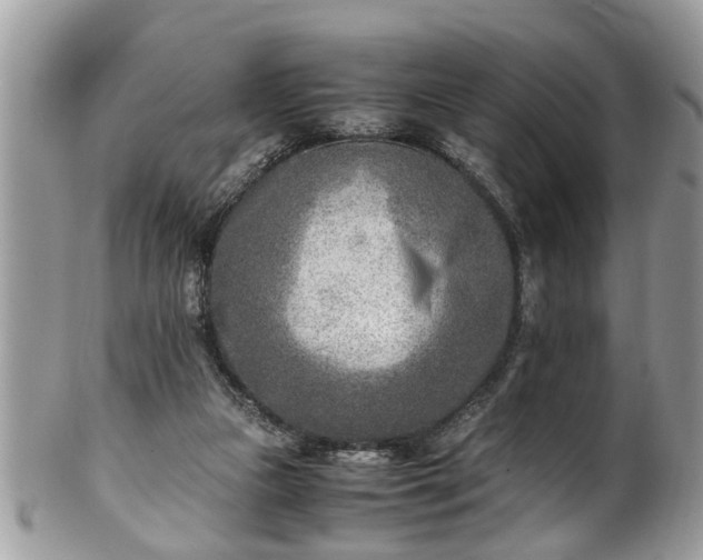 X0000101190161200807071323