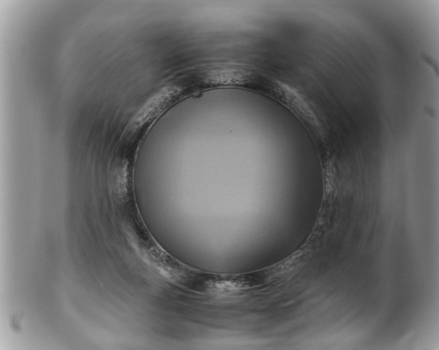 X0000101190163200807071323