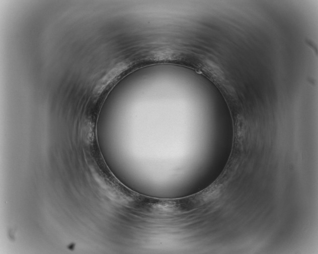 X0000101190164200807071323